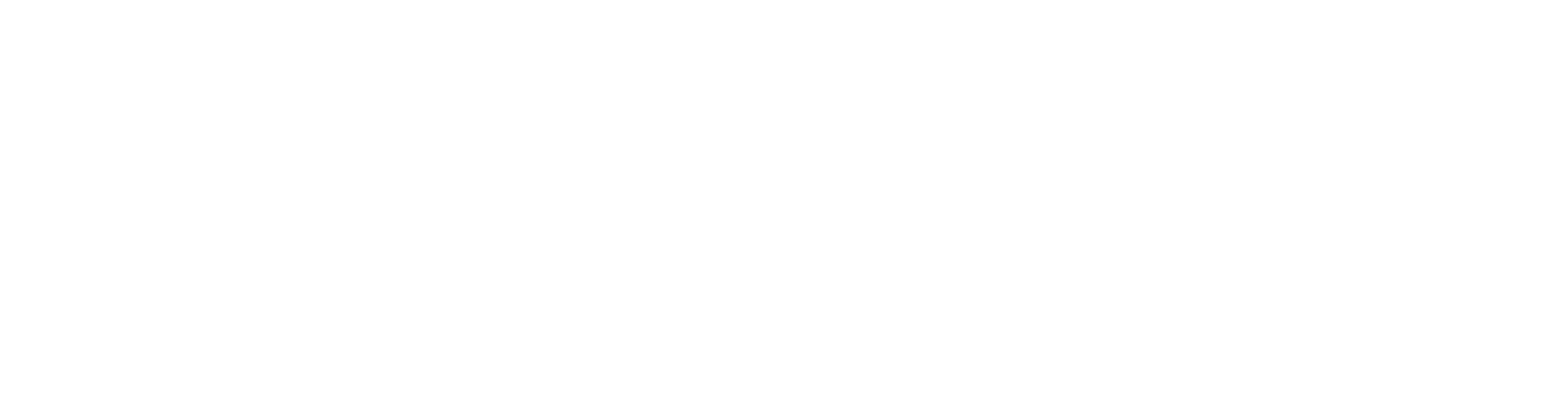 Straumann